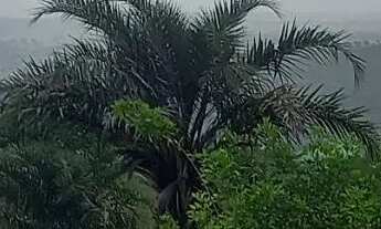 Imagem 3: Fazenda com 16 hectares, sendo 9 de pastagem, e 7 de área preservada ,toda cercada com