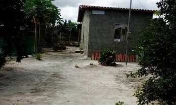 Imagem 5: VENDO MINI SÍTIO 28.000 ACEITO PROPOSTA