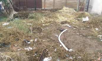 Imagem 6: Lote águas linda