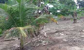 Imagem 3: Venda Terreno / lote com venda por R$20.000