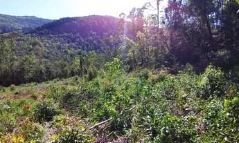 Imagem 4: Área De Terras À Venda Próximo Do Bairro Vila Olinda