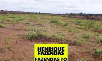 Imagem 5: Fazenda região Vale Araguaia dupla aptidão Tocantins