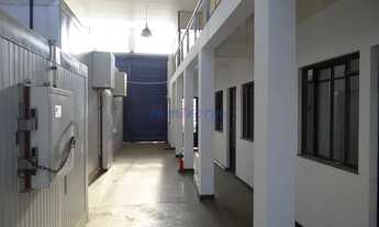 Imagem 4: Barracão - Jardim Cura D'ars - Campinas