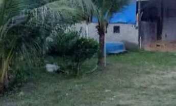 Imagem 6: Sítio com casa Casa com 2 dormitórios