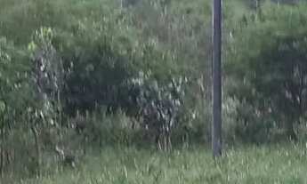 Imagem 5: Fazenda com 16 hectares, sendo 9 de pastagem, e 7 de área preservada ,toda cercada com