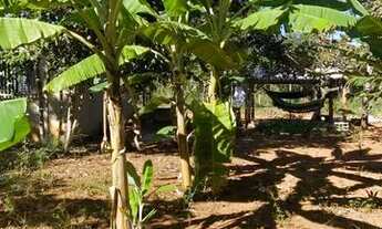 Imagem 3: Chácara 5.000 metros!