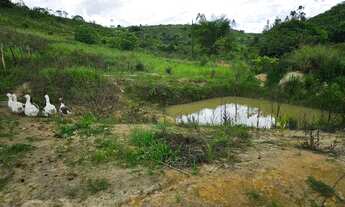 Imagem 3: RANCHO COM 7 HECTARES EM SÃO LUIS / FLEXEIRAS