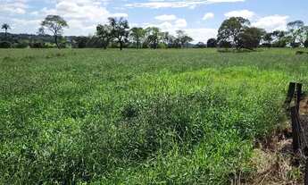 Imagem 3: Sitio Chácara com venda por R$1.400