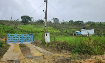 Imagem: RANCHO COM 7 HECTARES EM SÃO LUIS / FLEXEIRAS