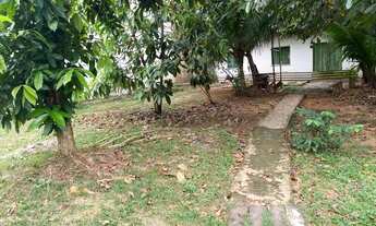 Imagem 5: CASA NO BOSQUE DAS PALMAS