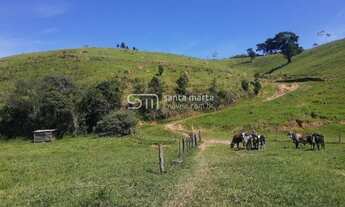 Imagem 2: SITIO COM RIBEIRÃOGADO CORTE/LEITECACHOEIRA PAULISTA -SP
