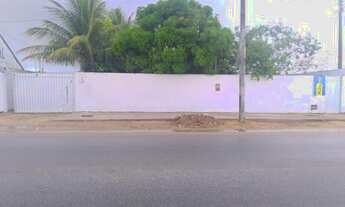 Imagem 7: Oportunidade alugo casa em penedo