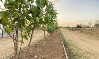 Imagem 3: Sítios HAVANA ( próximo ao Distrito de Ipuacu