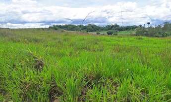 Imagem: Area Rural 15,5 Hectares Castelo Branco