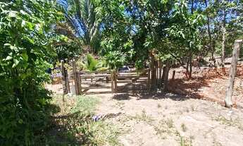 Imagem 2: Vendo Chacara Chácara com venda por R$220.000