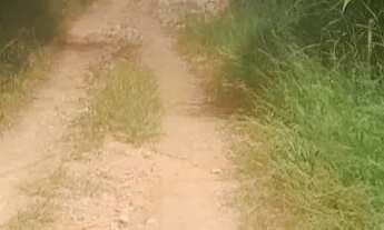 Imagem 4: Terreno com Área Verde em Local Tranquilo