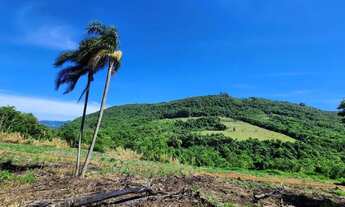 Imagem 4: Sítio / Chácara para Venda em Nova Petrópolis, Fazenda Pirajá