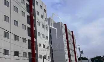 Imagem: Natureza e Modernidade em Um Só Lugar