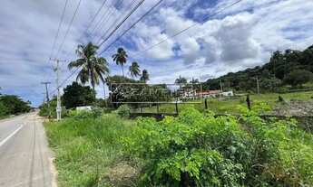 Imagem 4: Área à venda em Paripueira às margens da AL-101 Norte