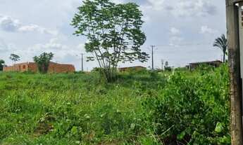 Imagem 3: Oportunidade Imperdível no Residencial Amazonas II