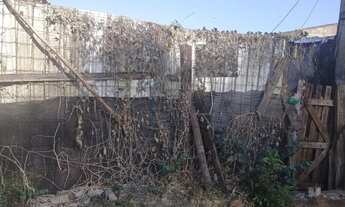 Imagem: Terreno de 125m² à venda - Jardim Helena