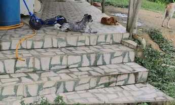 Imagem 4: Chácara em Antonina 12.375,27 m2