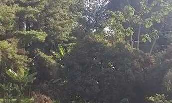 Imagem 5: SÍTIO - SÍTIO DO MORRO - SP