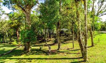 Imagem 7: TERRENO COM PARCELAMENTO DIRETO EM ATÉ 60X