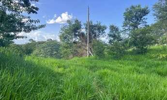 Imagem 3: Chácara 6.61 alqueires em Itapuranga