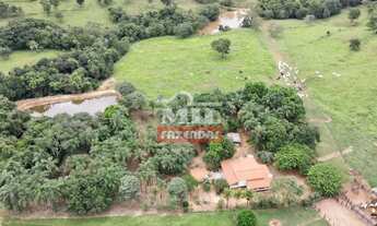 Imagem 4: FAZENDA A VENDA 32 ALQUEIRES (154,88 HA) EM CALDAS NOVAS - GO