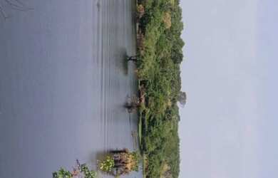 Imagem 4: Vendo ou troco por casa