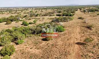 Imagem 2: Fazenda 420 ( 2.032,80 hectares ) Porangatu - GO
