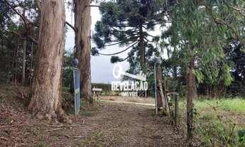 Imagem 2: Chácara com 3 dormitórios à venda, 45000 m² por R$ 2.000.000,00 - Roça Velha - São José do