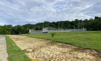 Imagem 3: Chácaras Rio Negro Lotes Grandes R$41 Mil