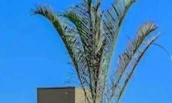 Imagem: Imóvel para venda com 348 metros quadrados