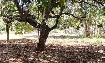 Imagem 3: Chácara à venda, Vila Jardim São Judas Tadeu, Goiânia, GO