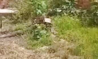 Imagem 4: Salao Comercial venda em Itaporanga D'Ajuda