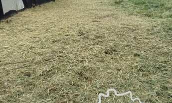 Imagem 2: OPORTUNIDADE TERRENO PLANO 125M² NA ZONA NORTE DE SÃO JOSÉ DOS CAMPOS !