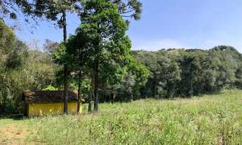 Imagem 3: Imóvel para venda com 49.743metros quadrados em Campo Novo - Campo Magro - PR