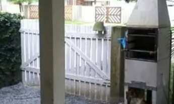 Imagem 5: Temporada e CARNAVAL