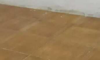 Imagem 7: Vende-se casa em 7 de Abril