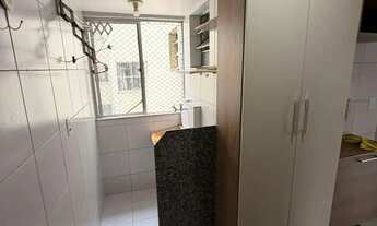 Imagem 3: DAU23// PALMEIRAS IV