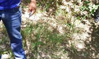 Imagem 2: Vendo chácaras em águas lindas jardim barragem 3