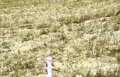 Imagem 5: 86C- COTIA OFERECE ÓTIMOS TERRENOS!