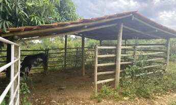 Imagem: CHÁCARA. À VENDA - 10.000 m² PREÇO OPORTUNIDADE