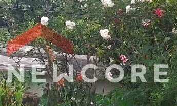 Imagem 7: Casa em Rua Perobas - Colonial - Contagem/MG