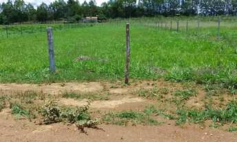 Imagem 3: Lote para Venda atrás da Fazenda Jaboticabal