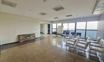 Imagem 3: SALA COMERCIAL PARA ALUGAR JARDIM IRAJA 274M²