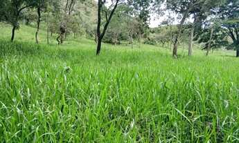 Imagem 5: Sítio 49 hectares