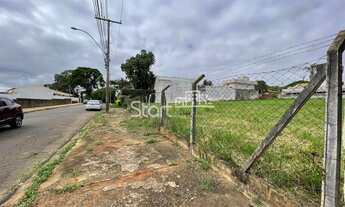 Imagem 7: Terreno - Nova Campinas - Campinas